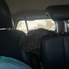 Profile Picture of user8313938958753 (@@juliooandradee) on Tiktok