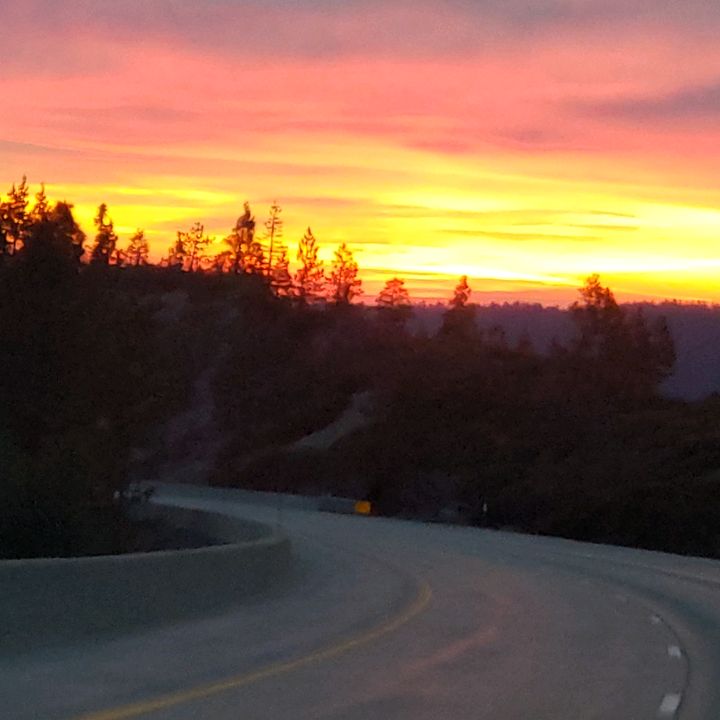 Profile Picture of Martha Goodwin (@@martha_goodwin) on Tiktok