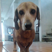 Profile Picture of Saul Cadena (@saulcadena8213) on Youtube