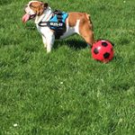 Profile Picture of Vicky Lloyd (@vicky.lloyd.940) on Instagram