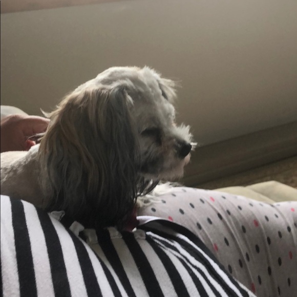 Profile Picture of Matt Newman (@nyjets_85) on Poshmark