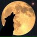 Profile Picture of Zachary Mears (@mearszachary) on Pinterest