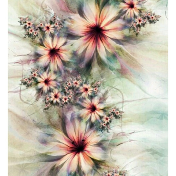 Profile Picture of Stacy Kolb (@stacyjkolb) on Poshmark