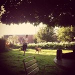 Profile Picture of Seth (@sethvanobbergen) on Instagram