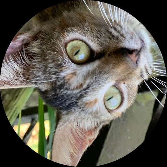 Selena Pantelis - Poshmark Profile Picture of Selena Pantelis (@selenapantelis) on Poshmark