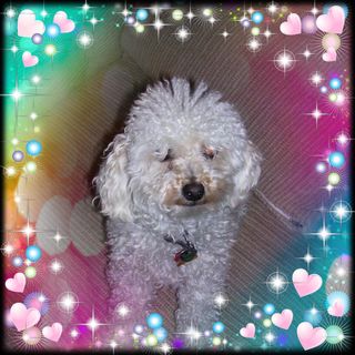 Profile Picture of Kendra Golwitzer (@kendra.golwitzer.9) on Facebook