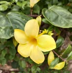 Profile Picture of Nikita Kharia (@nikita.kharia.878035) on Facebook