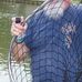 Profile Picture of Mickey Cooper (@mickey.cooper.73) on Facebook