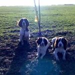 Profile Picture of Karl Harman (@karl.harman.3) on Instagram