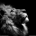 Profile Picture of antonio trujillo ramos (@aned_93) on Flickr