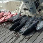 Profile Picture of John Munnerlyn (@john.munnerlyn.1) on Facebook