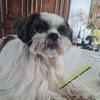 Profile Picture of catherinekern663 (@@catherinekern663) on Tiktok