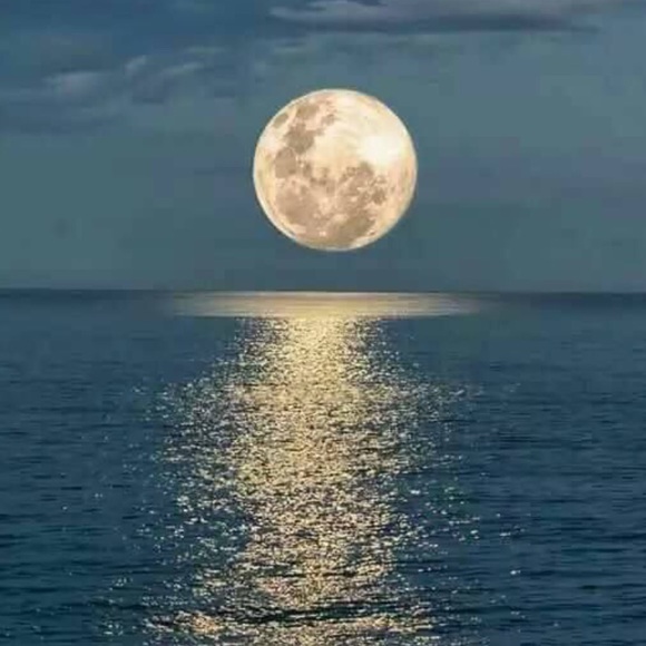 Profile Picture of Eun Choi (@eunchoi) on Poshmark