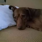 Profile Picture of Bruce Wardlaw (@bruce.wardlaw.2025) on Facebook