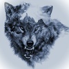 Profile Picture of Dustin Bolin (@@dustinbolin) on Tiktok