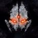 Profile Picture of David Zully (@David-Zully) on Facebook