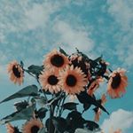 Profile Picture of Zoey Hicks (@zoeyhicks1) on Instagram