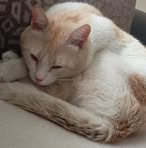 Profile Picture of Aktan Kara (@aktan.kara.948) on Facebook