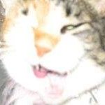 Ellen Press - Instagram Profile Picture of Ellen Press (@ferrfan2) on Instagram