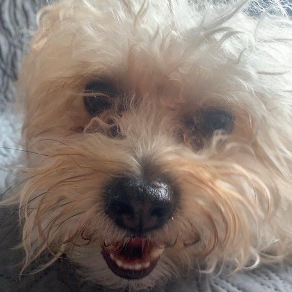 Profile Picture of Sabrina Wade (@sabrinawadeeee) on Poshmark