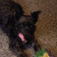 Profile Picture of Roy Beebe (@roy-beebe) on Quora