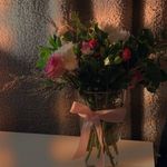 𝗖𝗵𝗹𝗼𝗲 𝗠𝗮𝗿𝗸𝘀 - Instagram Profile Picture of 𝗖𝗵𝗹𝗼𝗲 𝗠𝗮𝗿𝗸𝘀 (@chloe__marks___) on Instagram