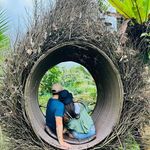 Profile Picture of Ankit Nainwal (@nainwalankit) on Instagram