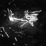 Profile Picture of thomasazevedo (@thomasazevedo) on Instagram