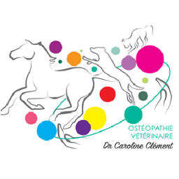 Profile Picture of Dr Caroline Clément (@carosteo_veto) on Twitter