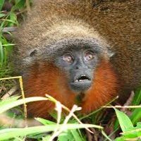 Profile Picture of James Lafortune (@lafortune_james) on Twitter