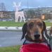 Profile Picture of Buddy Hammond (@buddy.hammond.5015) on Facebook
