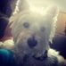 Profile Picture of MacGregor Skye (@MacGregor-Skye) on Facebook