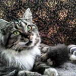 Profile Picture of Jérémy Olivier (@jeremyolivier1404) on Instagram