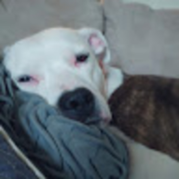 Profile Picture of Cadyn Dunbrack (@cdunbrack) on Poshmark