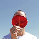 Profile Picture of Scott Gubala (@nashville_scott) on Instagram