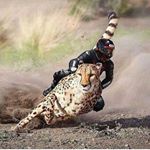 Profile Picture of Michael Gorzynski (@michaelgorzynski) on Instagram