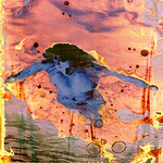 Profile Picture of Joanne Warfield (@joanne warfield) on Flickr