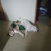 Profile Picture of Greg Stephenson (@greg.stephenson.58958) on Facebook