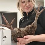 Profile Picture of Bree (@brockelsbree) on Instagram