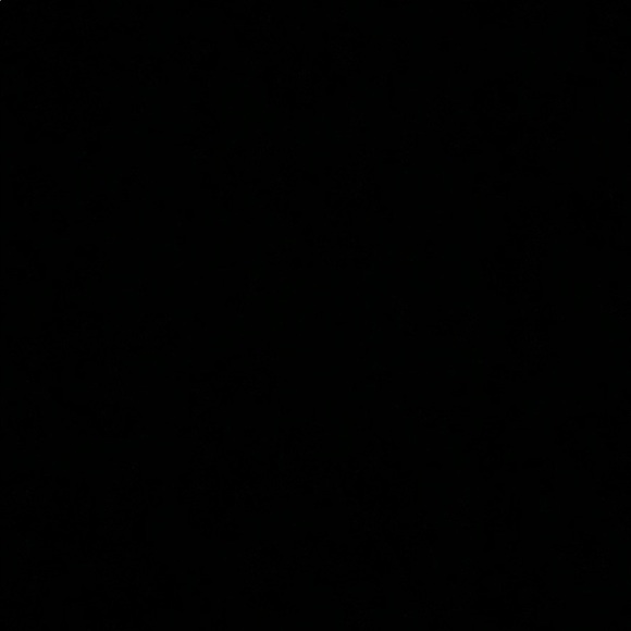 Profile Picture of Paula Longtin (@paula728) on Poshmark