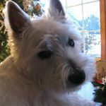 Profile Picture of Nancy M. Herrman (@herrmannancy) on Instagram