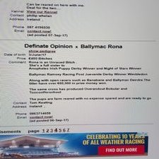 Profile Picture of Michael Lyng (@MichaelLyng2) on Twitter