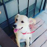 Profile Picture of Joanna Zhao (@mojojojo527) on Instagram