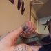 Profile Picture of Larry Leeth (@larry.leeth.39) on Facebook