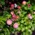 Profile Picture of Jia (@jia_kim) on Instagram