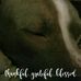 Profile Picture of Lisa Aronhalt Ferrer (@lisa.a.ferrer.9) on Facebook