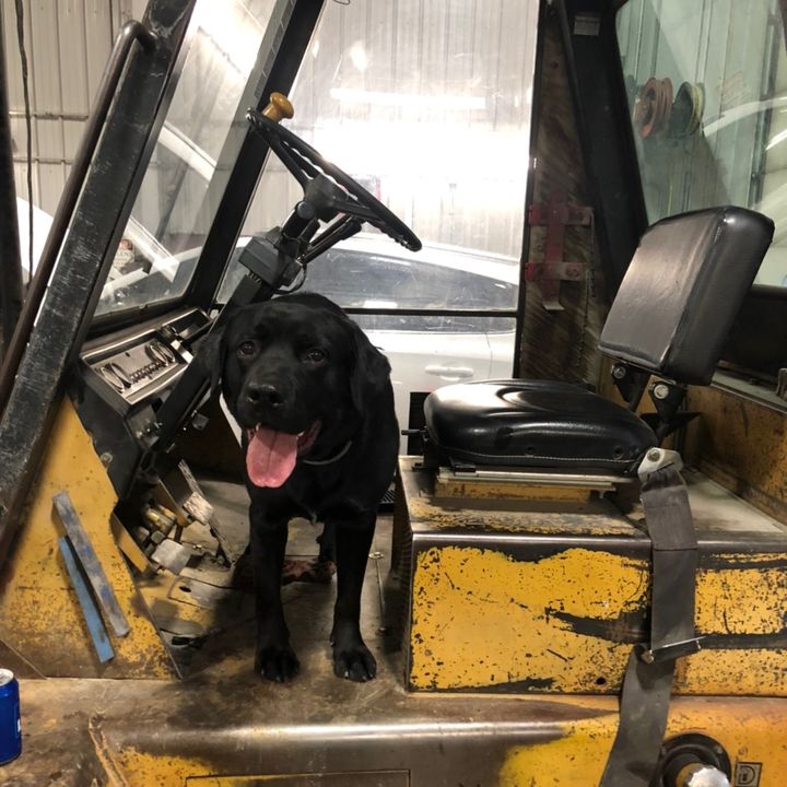 Profile Picture of user9321246451073 (@@chrismeuser) on Tiktok