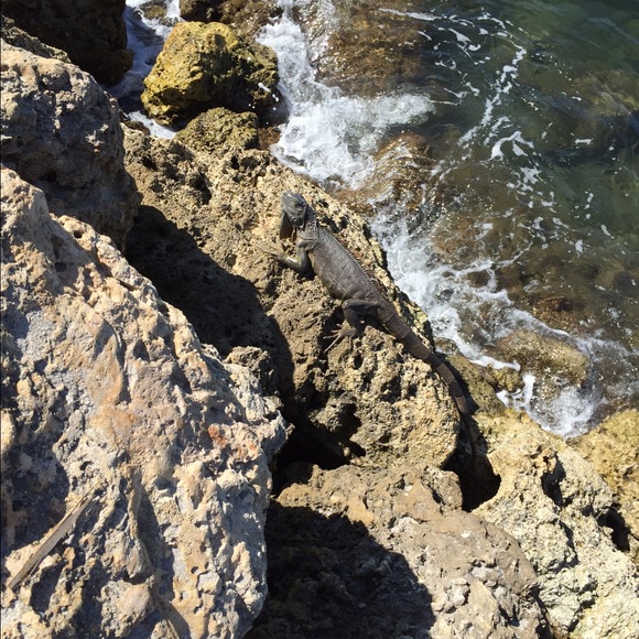 Profile Picture of Luke Cionci (@lcionci1) on Poshmark