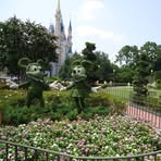 Profile Picture of Celia Regina Ditzel Melo (@celiaregina.ditzelmelo) on Facebook