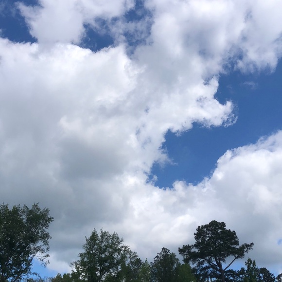 Profile Picture of Debbie Scarbrough (@dascarbrough) on Poshmark